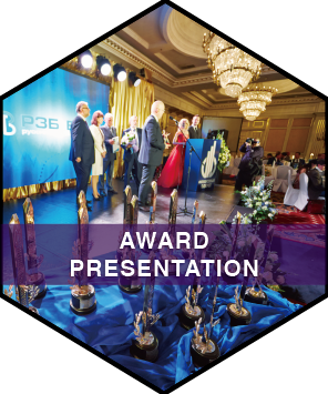 Hexagon Icon for Award Presentation in ZPZ What We Do page